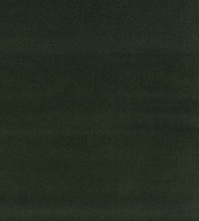 English Riding Velvet Fabric by Ralph Lauren Hunter