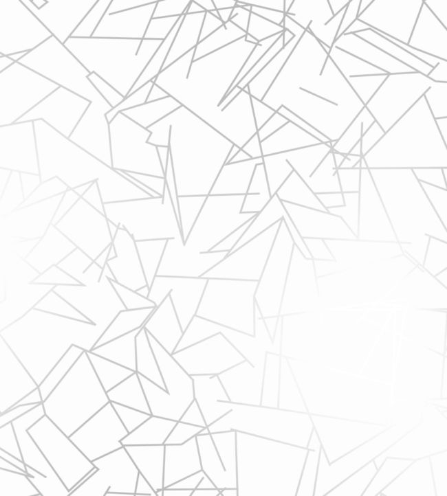 Angles Wallpaper by Erica Wakerly Silver/White
