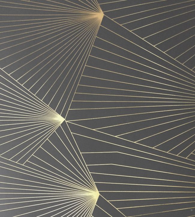 Fan Wallpaper by Erica Wakerly Gold/Lead Grey