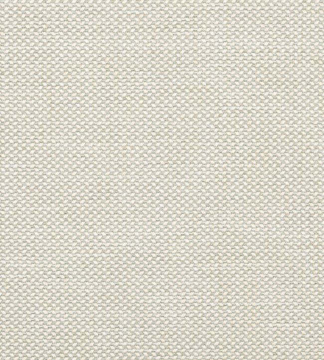Erith Fabric by Colefax and Fowler Silver