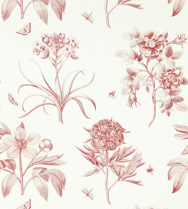 Etchings & Roses Wallpaper by Sanderson Amanpuri Red