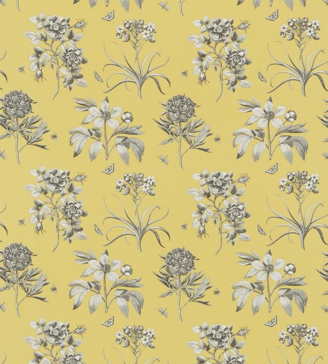 Etchings & Roses Fabric by Sanderson Empire Yellow