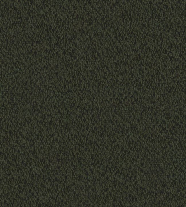 Everest Fabric by Warwick Fern