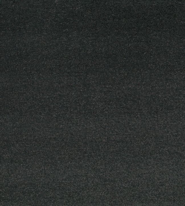 Fantasia Fabric by Casamance Anthracite