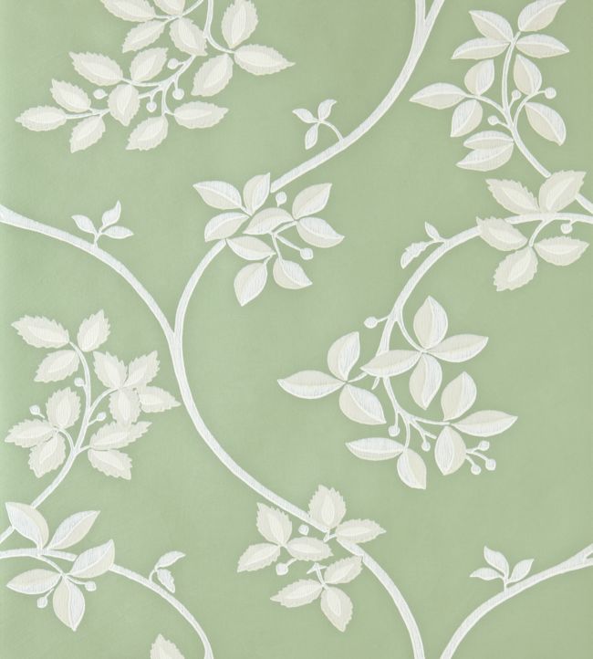 Ringwold Wallpaper by Farrow & Ball in Green Ground Jane Clayton