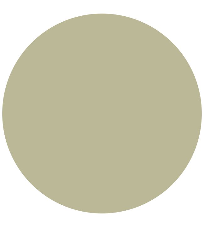 Zoffany Fennel True Matt Emulsion Paint Jane Clayton