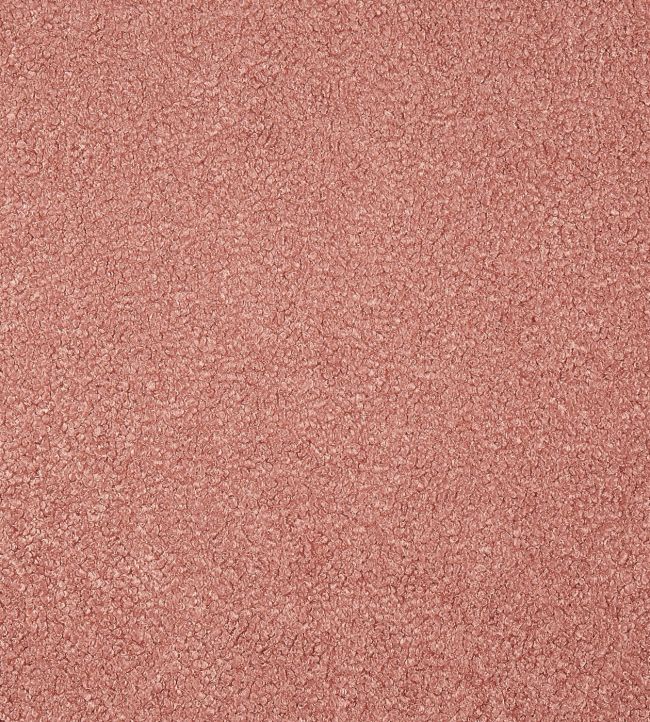 Fergus Fabric by Prestigious Textiles Rosebud