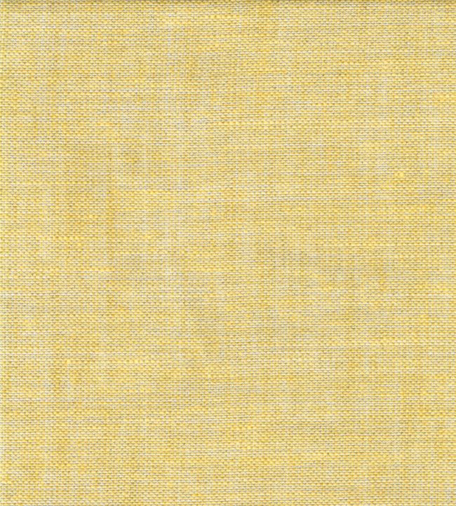 Plain Linen Fabric by Fermoie Old Guilding