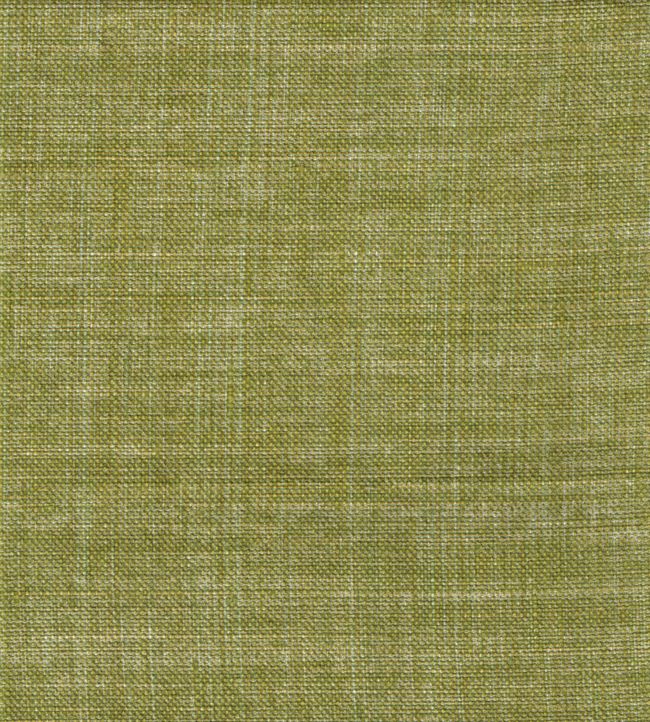 Plain Linen Fabric by Fermoie Goose Green