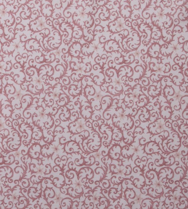 Filigree Fabric by Titley and Marr Shell