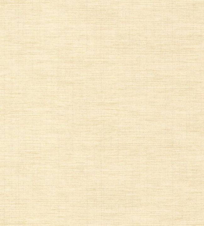 Five O'clock Plain Wallpaper by Casadeco Beige Creme