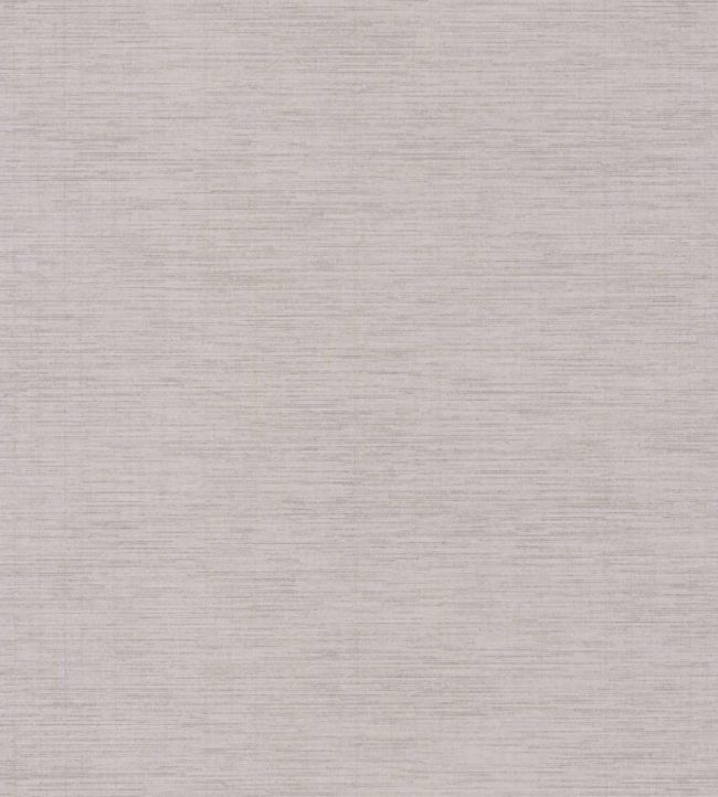 Five O'clock Plain Wallpaper by Casadeco Gris Plume