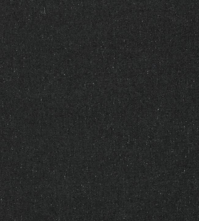 Fleck Eco Fabric by Kirkby Design Ebony