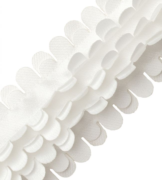 Flutter Sheer Border Trimming by Samuel & Sons Ecru
