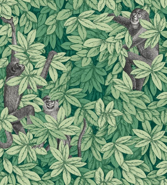 Foglie e Scimmie Wallpaper in Forest Green by Cole & Son Jane Clayton