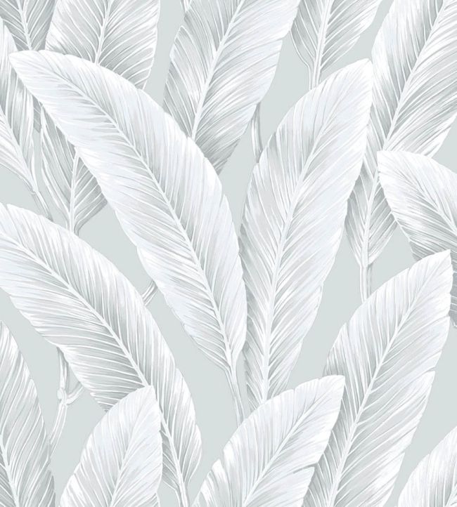 Foliage Sisal Wallpaper by Today Interiors Silver Lining