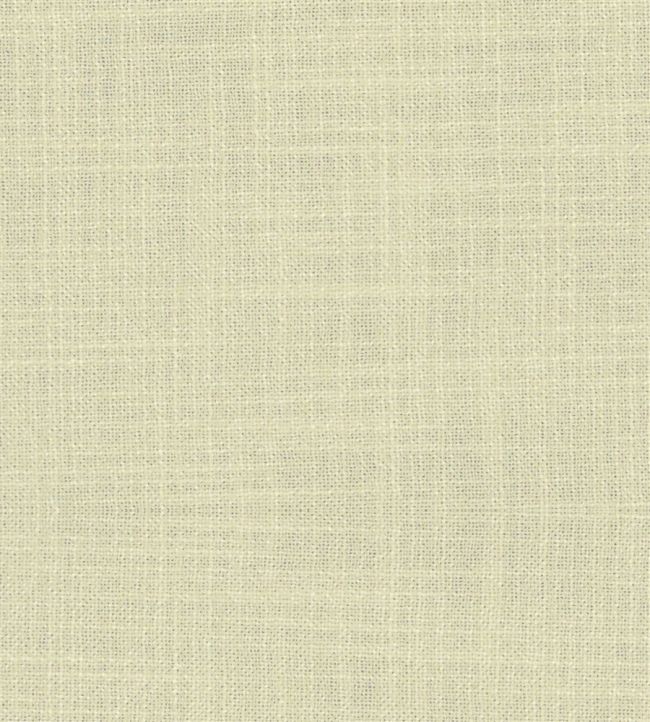 Fontana Fabric by Designers Guild Pistachio