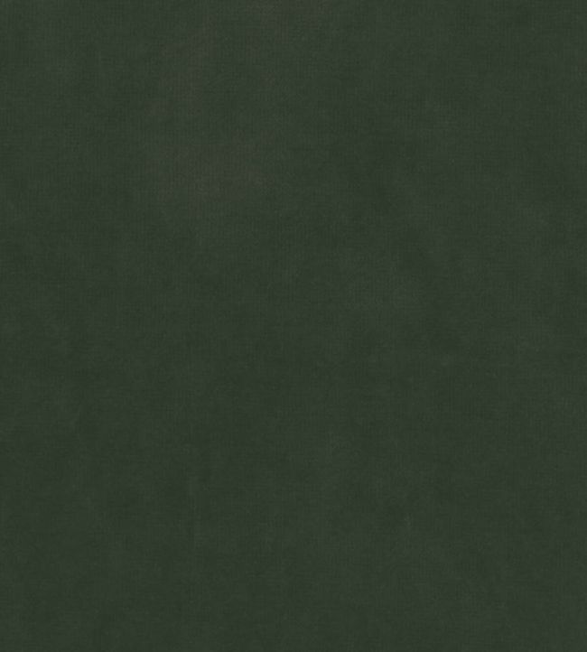 Gabrielle Fabric by Nina Campbell Eucalyptus