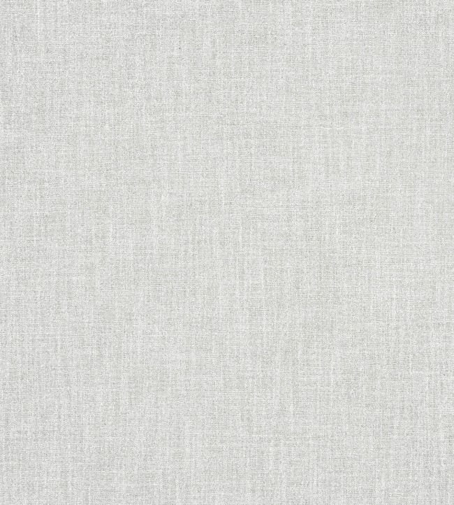 Galaxy Fabric by Prestigious Textiles Limestone