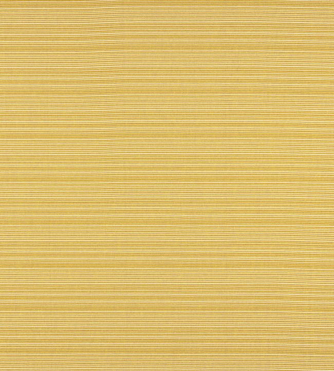 Gelato Fabric by Warwick Zest