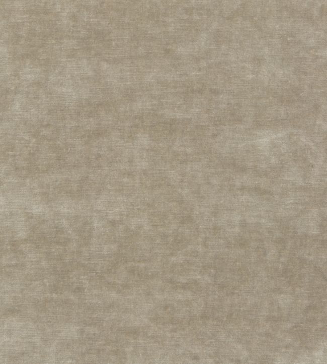 Kings Velvet Fabric by GP & J Baker Parchment