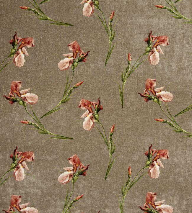 Baker Iris Fabric by GP & J Baker Mole