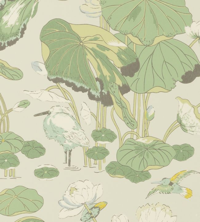 Nympheus Wallpaper by GP & J Baker Botanical