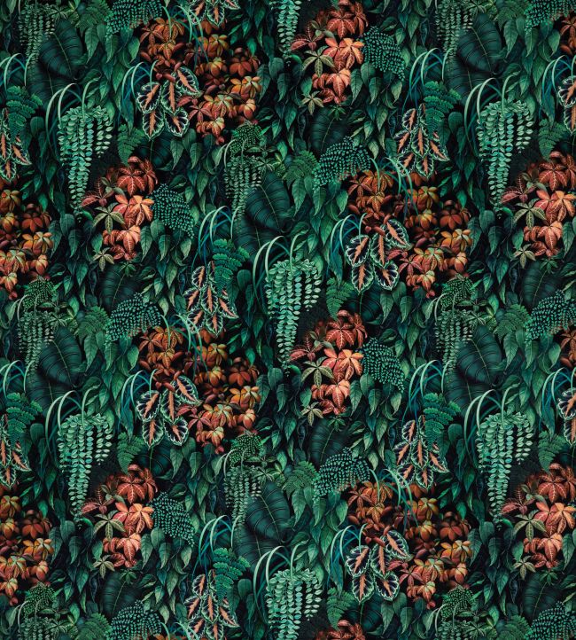 Green Wall Velvet Fabric in 1 by Osborne & Little | Jane Clayton