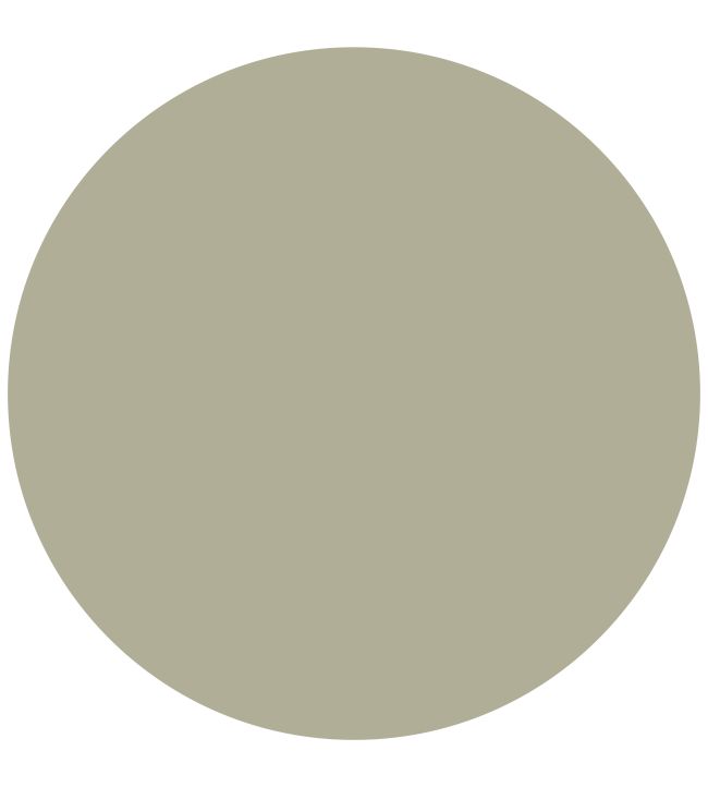 Mylands Greenstone No.190 Paint Jane Clayton