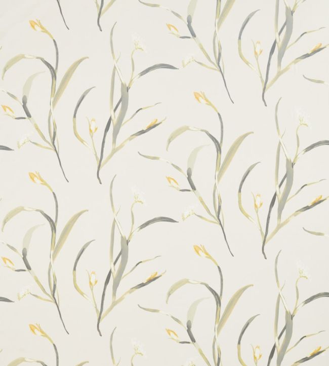 Saona Fabric by Harlequin Ochre/Linen