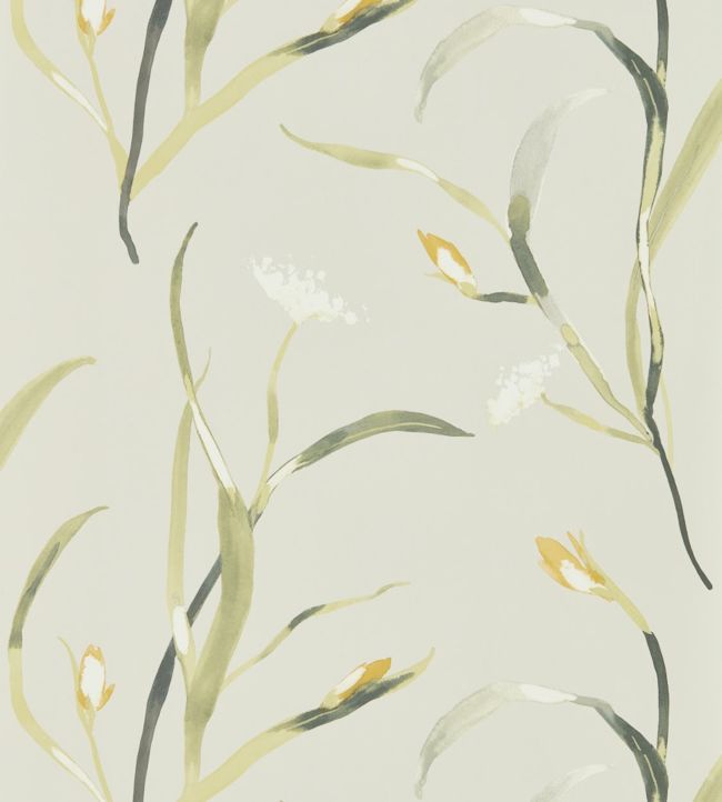 Saona Wallpaper by Harlequin Ochre/Linen