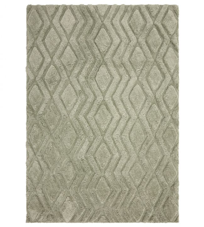 Asiatic Harrison rug Sage HARR120170SAGE Sage