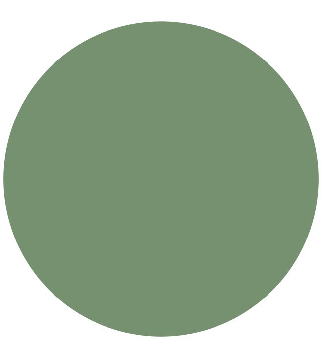 Morris & Co Herball Acrylic Eggshell Paint Jane Clayton