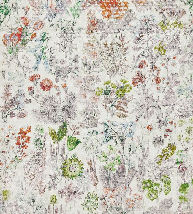 Herbaria Fabric by Osborne & Little Coral