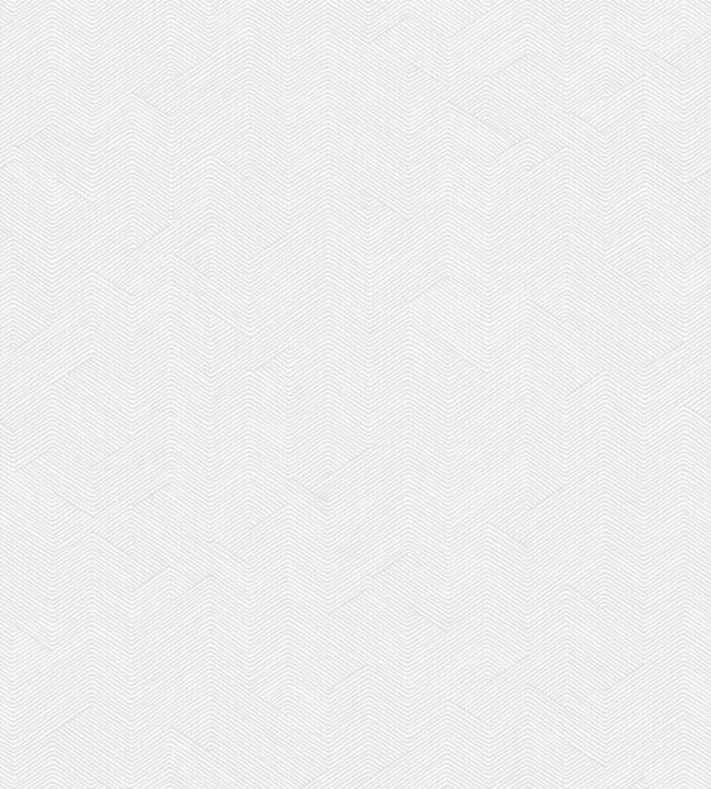 Shackle Wallpaper by Hooked On Walls 9
