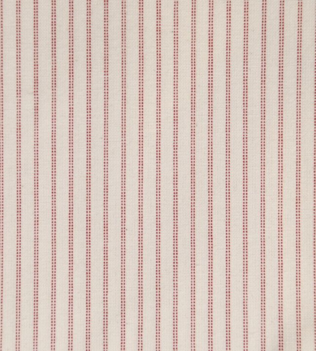 Lining Stripe Fabric by Ian Mankin Peony
