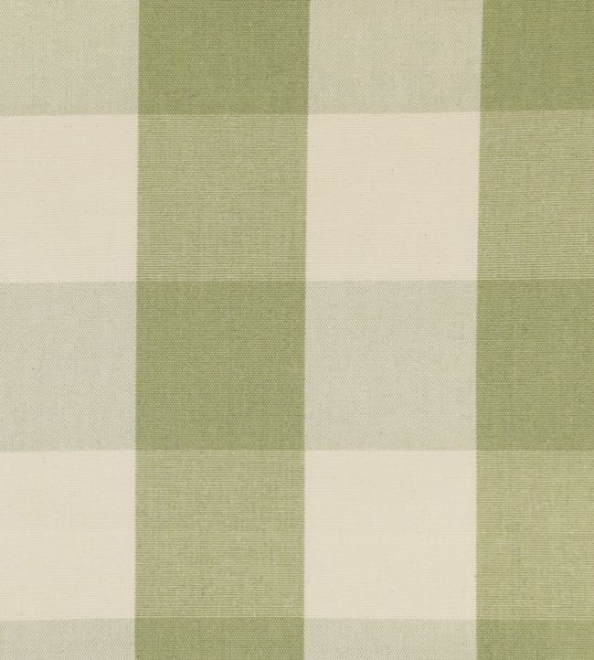 Avon Check Fabric by Ian Mankin Sage