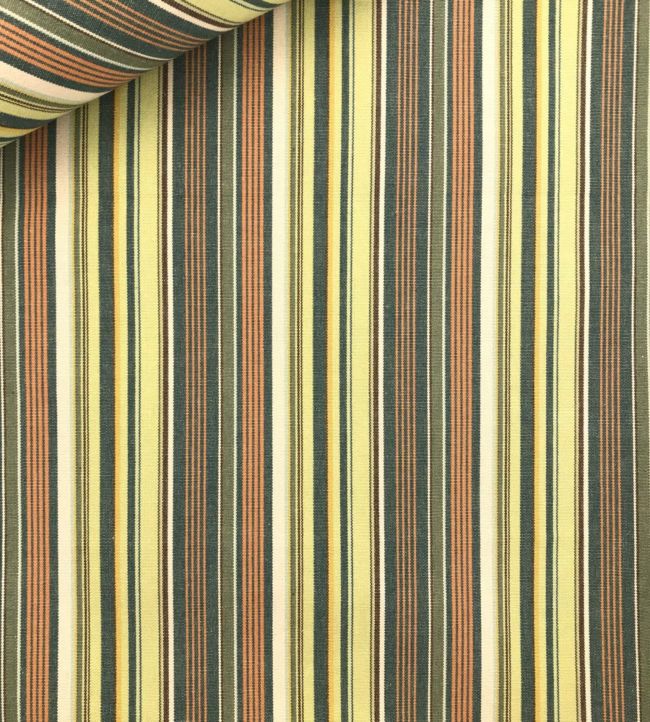 Pyjama Stripe Fabric by Ian Sanderson Jungle
