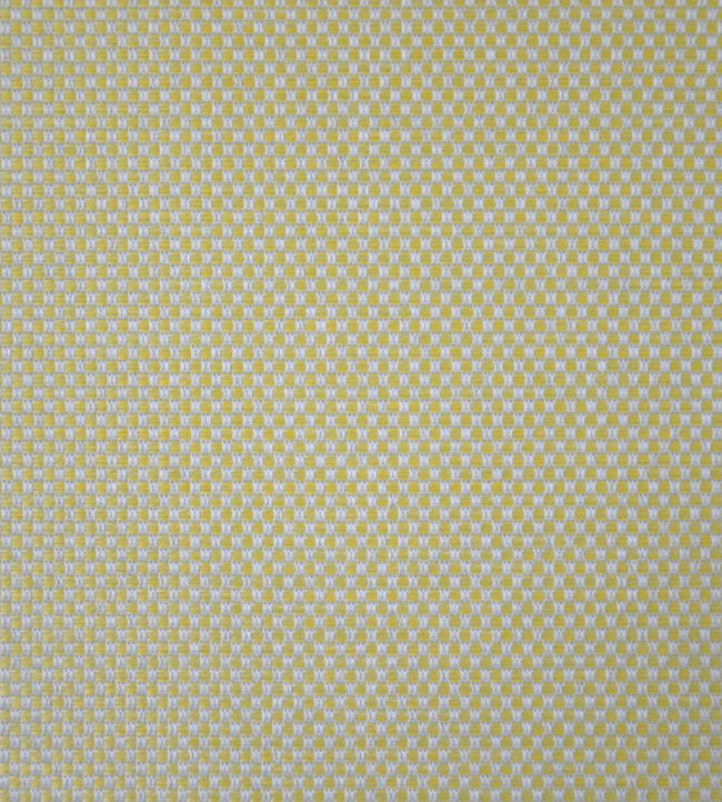 Ibiza Fabric by Casal Citron