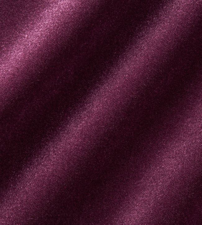 Infinity Plus Fabric by Zimmer + Rohde 436
