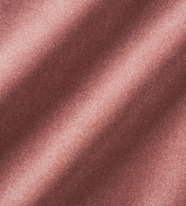 Infinity Plus Fabric by Zimmer + Rohde 494