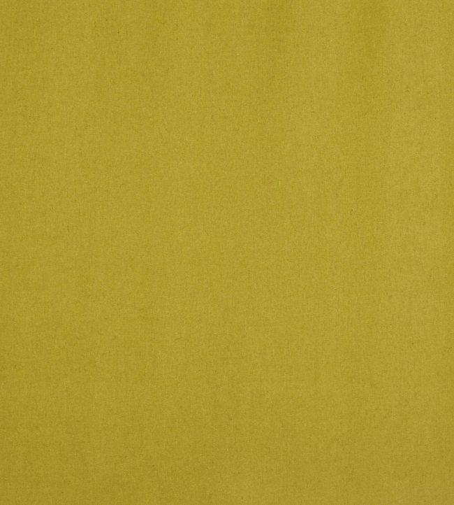 Ingleton Fabric by Prestigious Textiles Lime