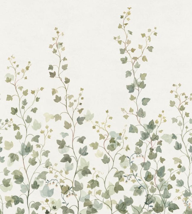 Ivy Mural by Sandberg Green