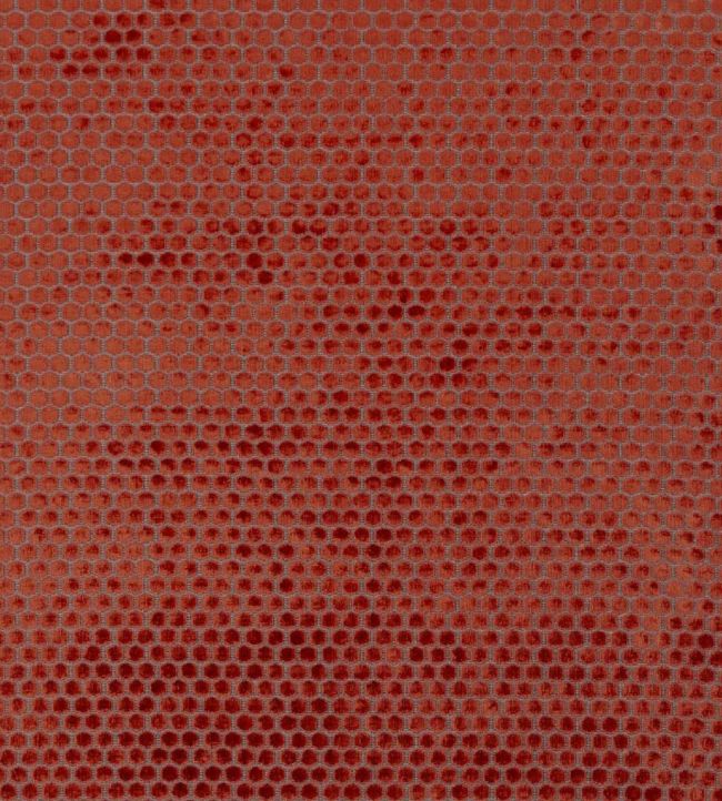 Jabot Fabric in Pimento by Designers Guild Jane Clayton