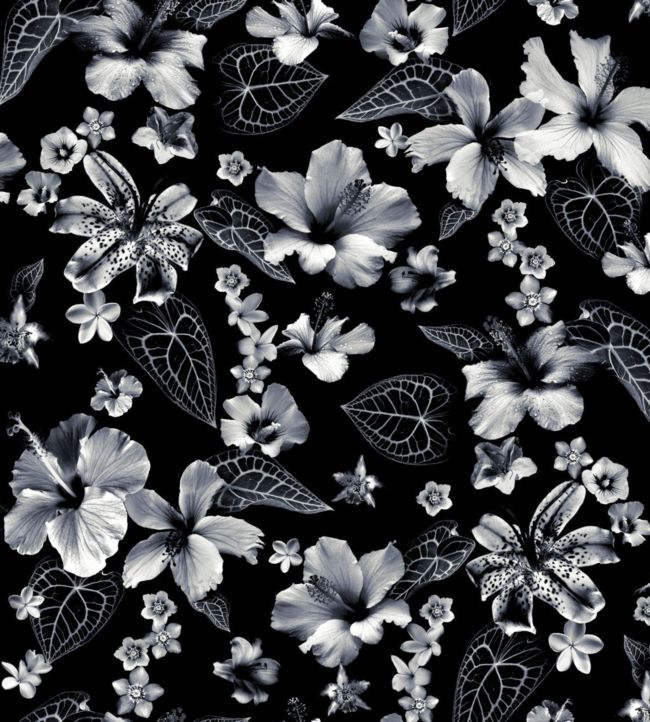 Cariacou Wallpaper by Jean Paul Gaultier Noir