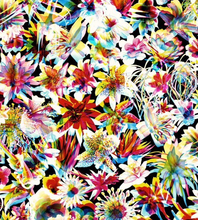 Grenada Wallpaper by Jean Paul Gaultier Multico