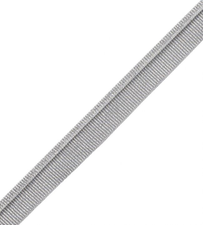 Julienne Metallic Piping Trimming by Samuel & Sons Silver Leaf