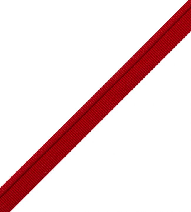 Julienne Piping Trimming by Samuel & Sons Caliente