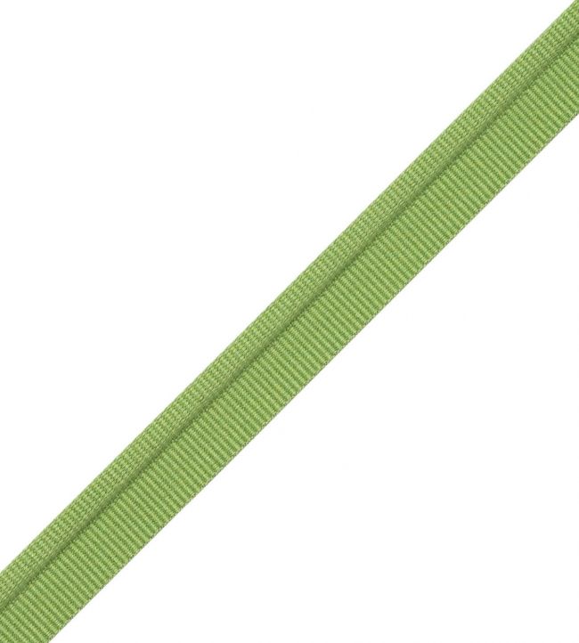 Julienne Piping Trimming by Samuel & Sons Chartreuse