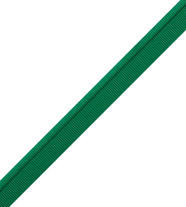 Julienne Piping Trimming by Samuel & Sons Emerald